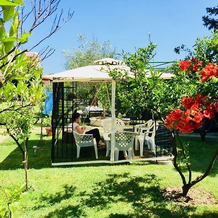 Flamingo Cottage أولتْسي المظهر الخارجي الصورة